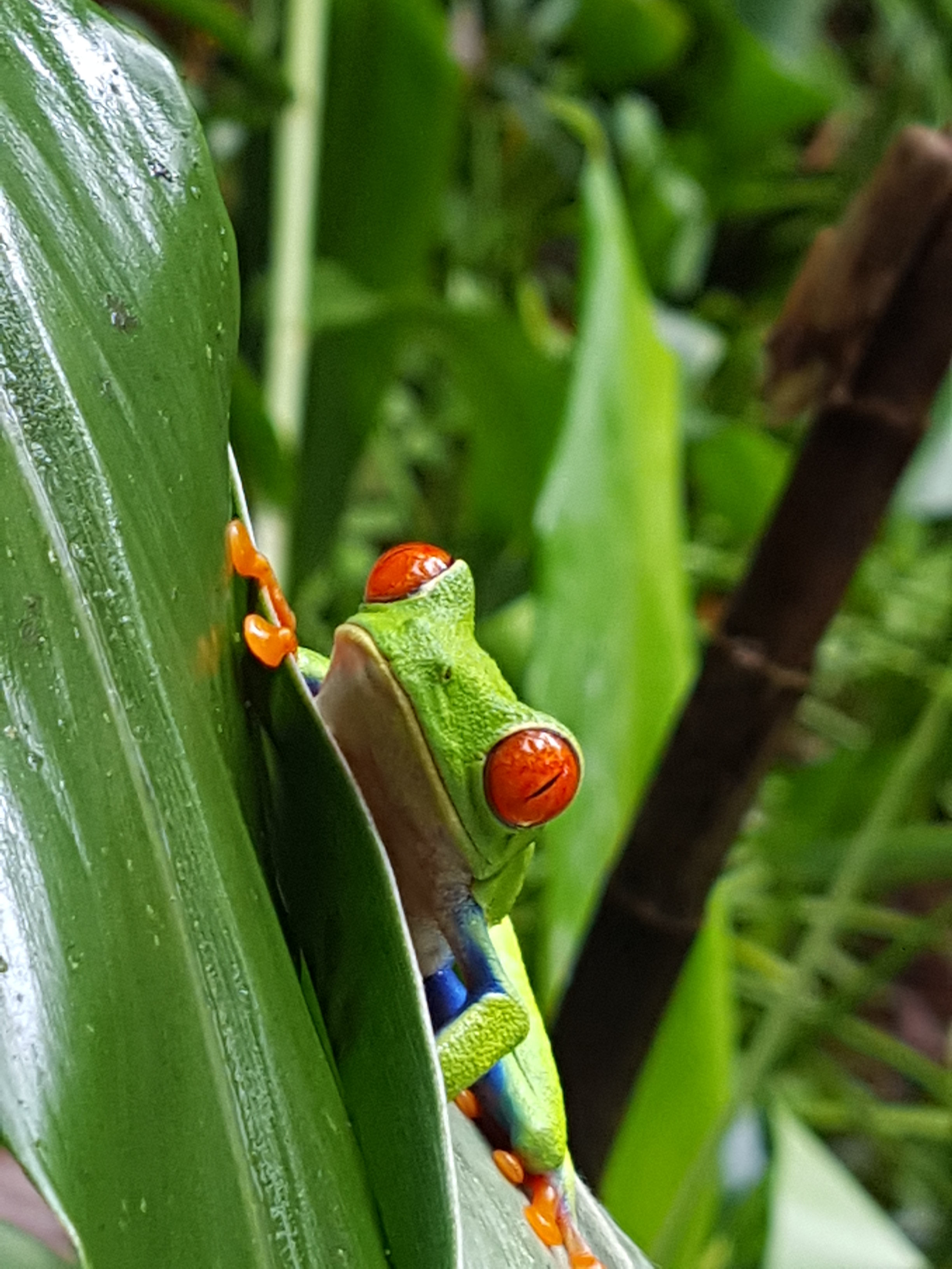 Antigua – Panama City VII