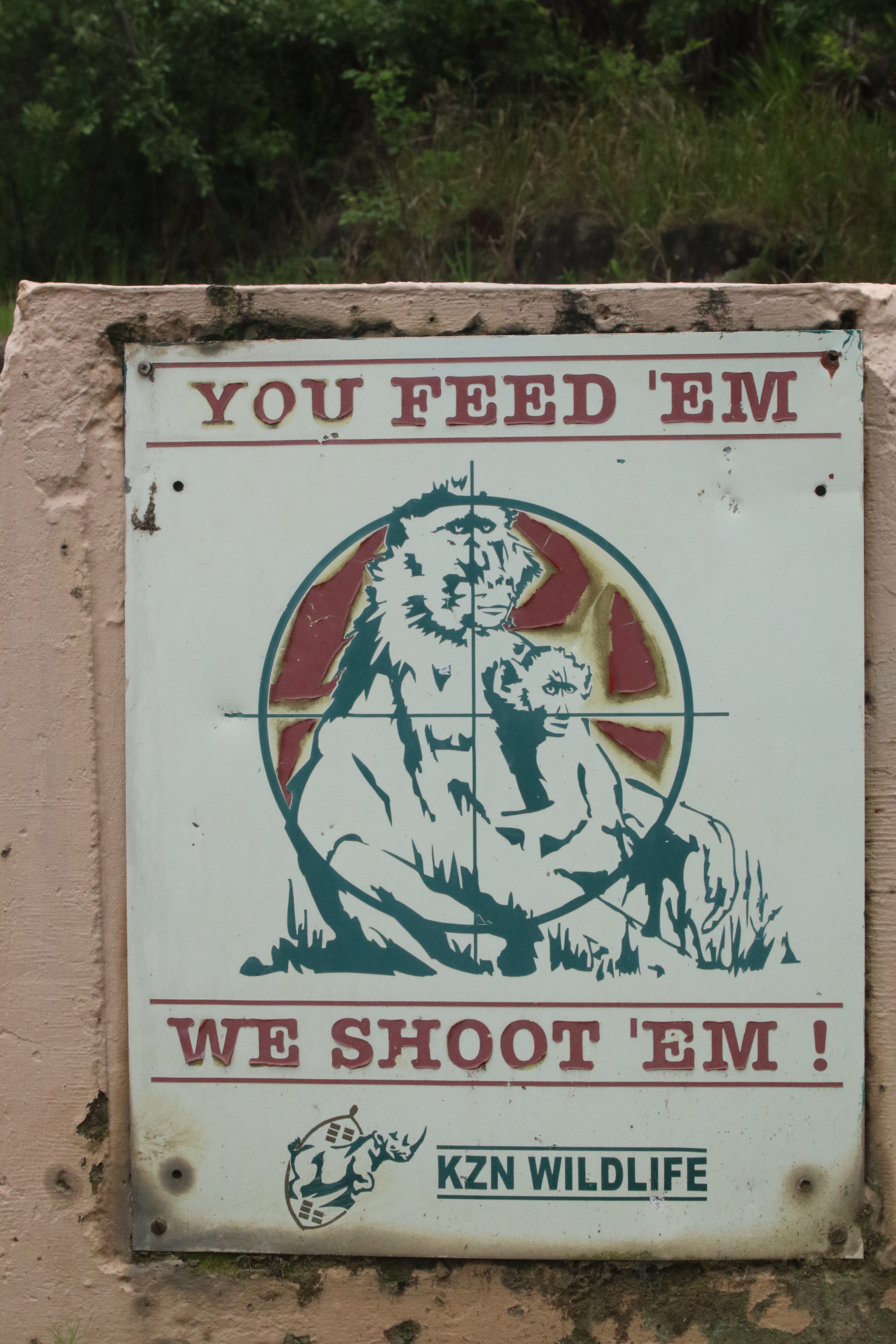 Day 31 & 32 – Sunday Falls & San Cave Art Hikes