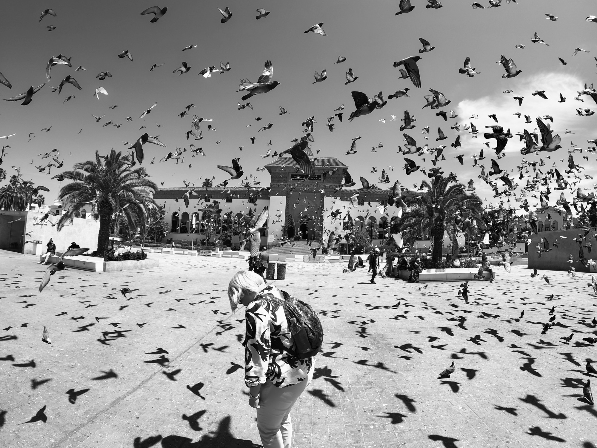Morocco Le Grande Tour Day 5 – Casablanca and Rabat