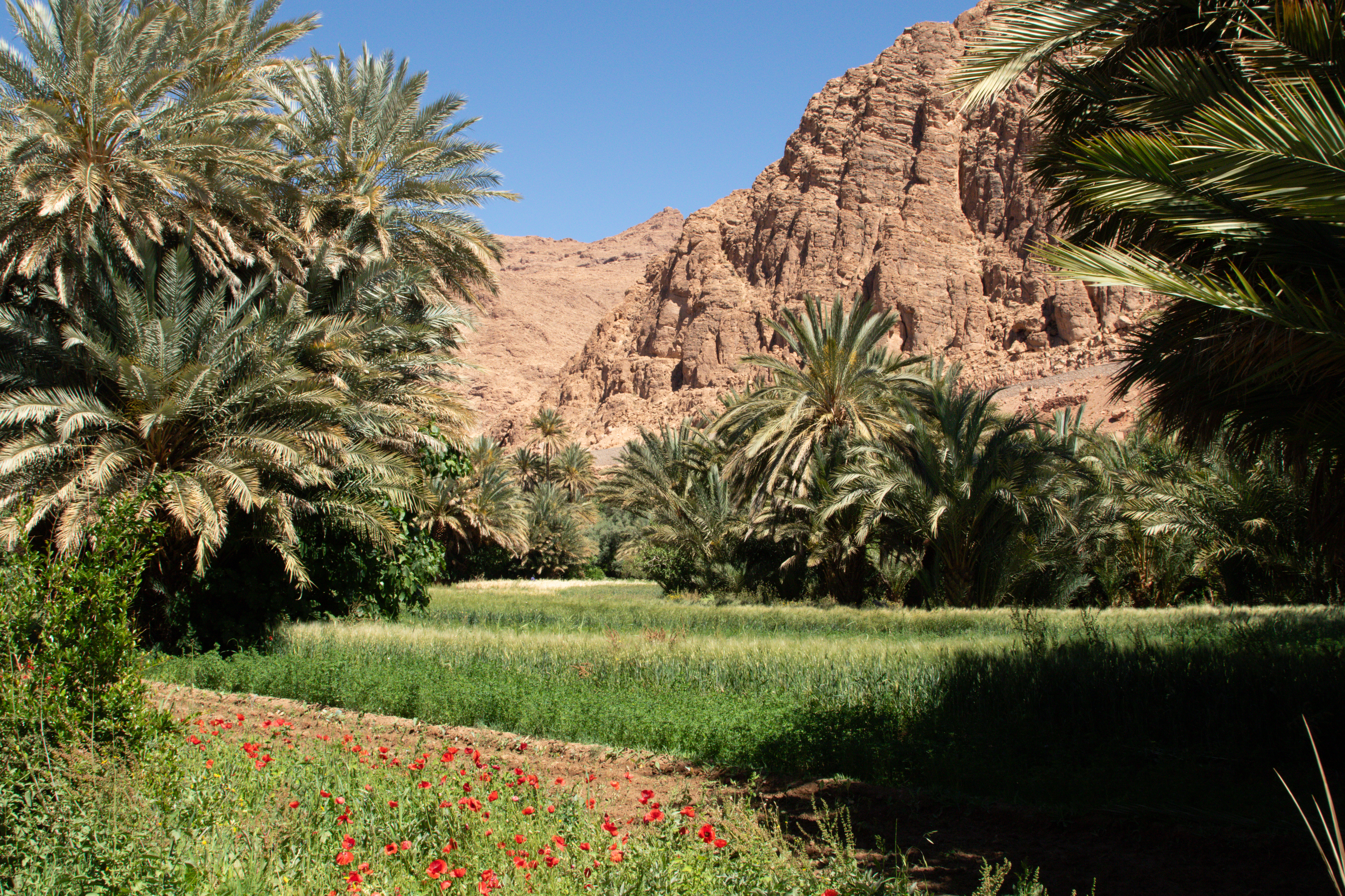 Morocco Le Grande Tour – Day 13