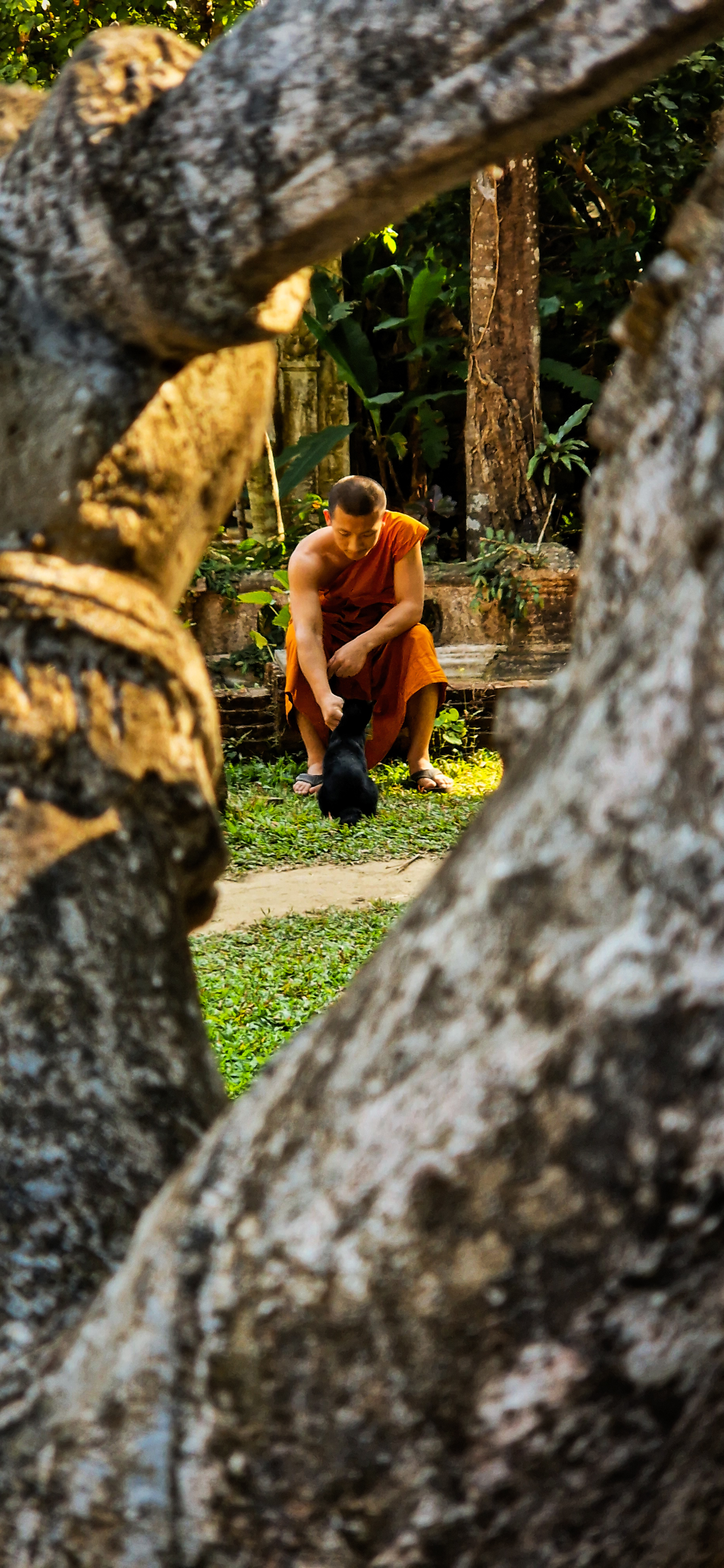 Chiang Mai 2 & 3