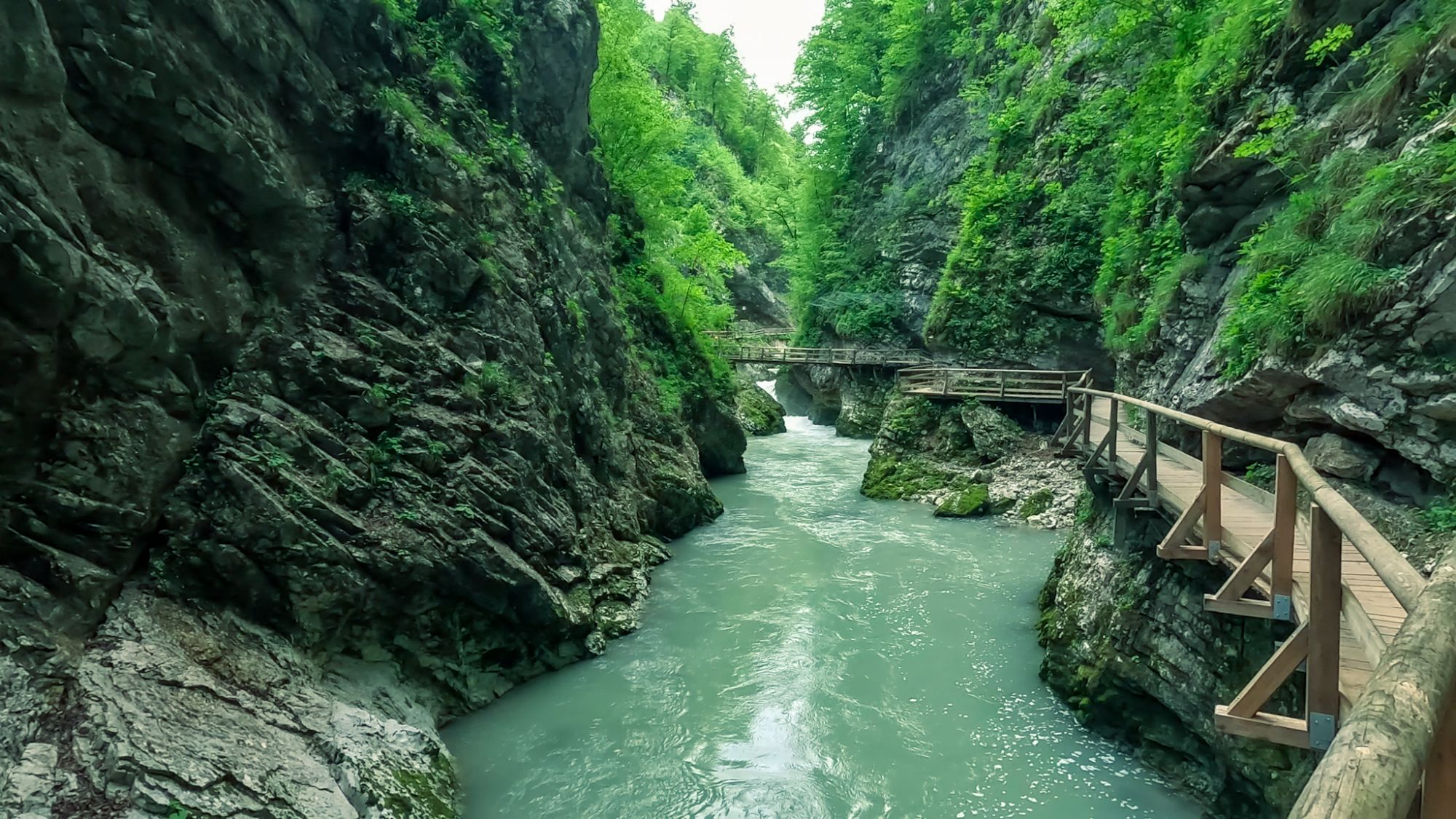 Cycling to Lake Bohinj, Walking Vintgar Gorge & King’s Trail